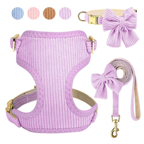 3pcs set cute - bow, tie