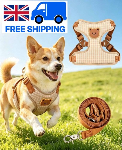 Dog harness and - harness, set