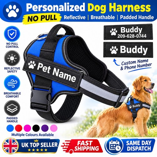Personalized dog harness - personalized,