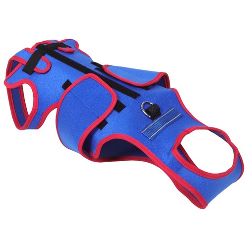 Back brace for dogs - brace, dogs: