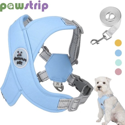 Cat dog harness lead - cat, set