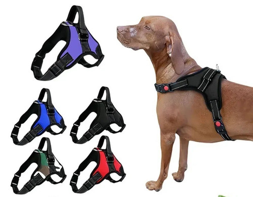Adjustable dog harness - harness, leash