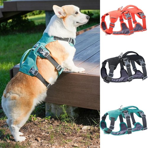 With handle reflective pet - with,