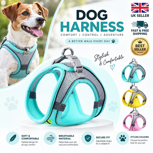 Reflective dog puppy pet - reflective,