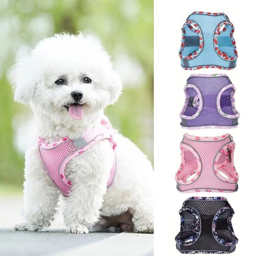 Reflective puppy dog cat - reflective,