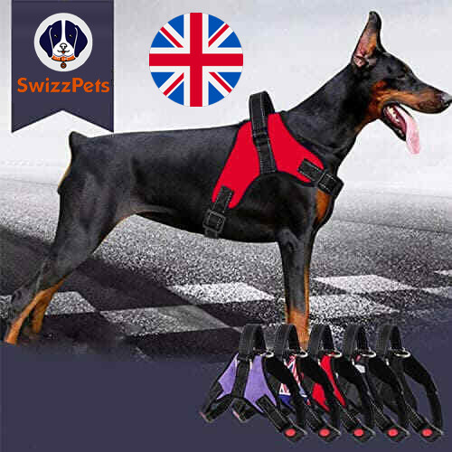 Non pull dog harness - non-pull,