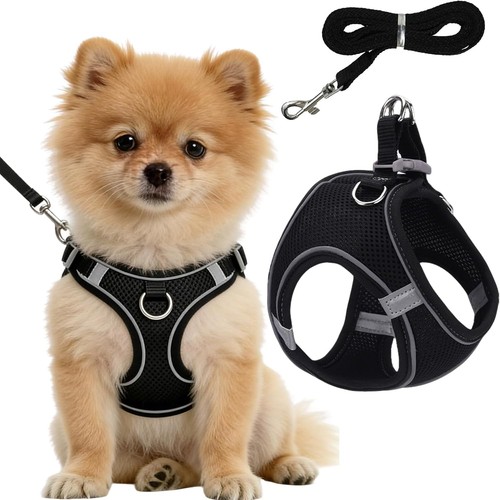 Dog harness small adjustable - dog,