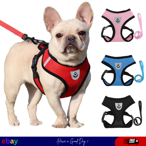 Dog harness soft - soft, adjustable