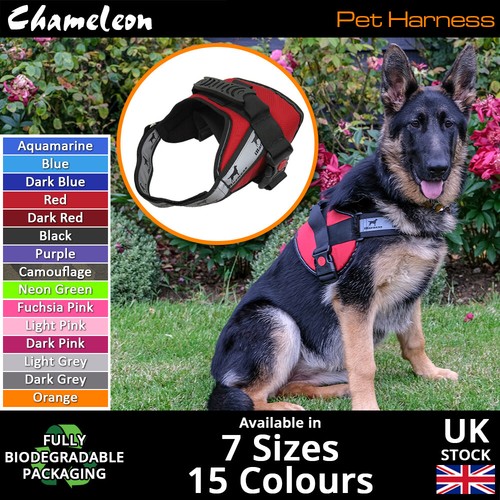 Dog harness puppy non - , non-pull
