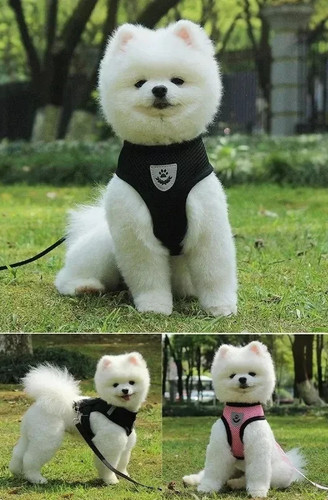 Dog harness puppy - pet, soft