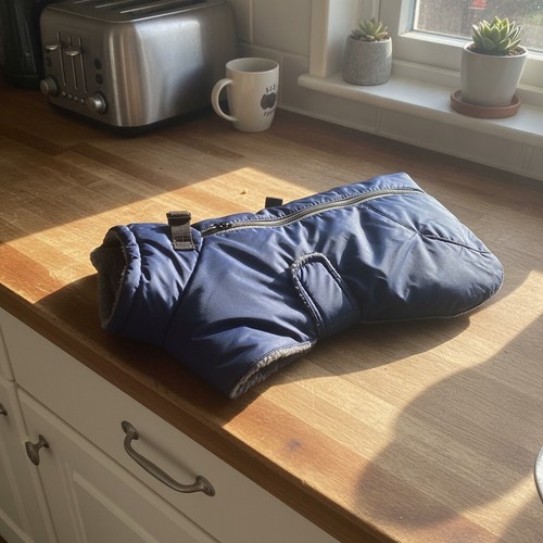 Dachshund waterproof coat - coat, –