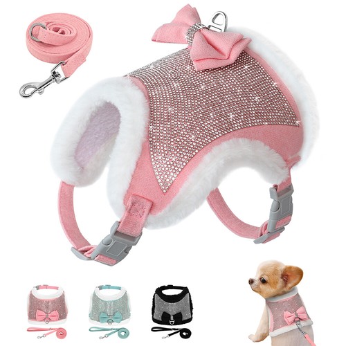 Bling diamante dog - dog, for