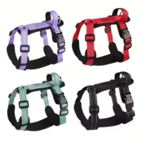Dachshund pull dog harness - no,
