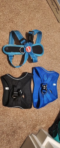 Dachshund harness size - ,