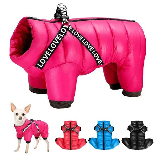 Winter waterproof dog - winter,