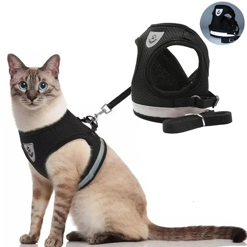 Small dog harness leash set - dog, no