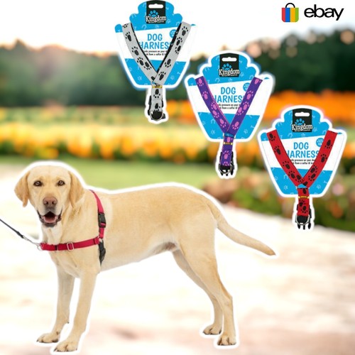 Dog puppy pet adjustable - dog,