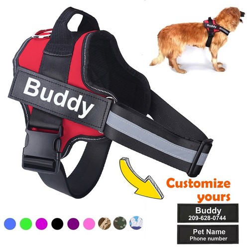 Personalized dog harness - dog,